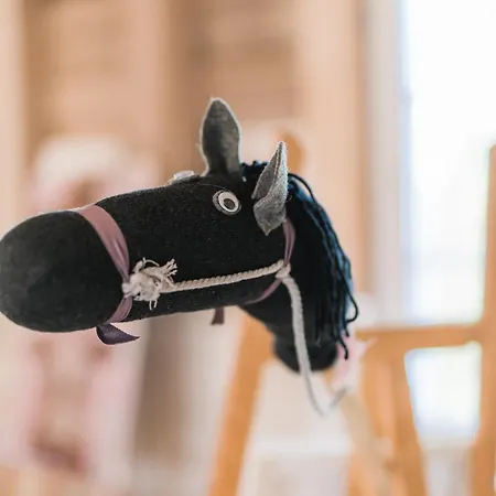 Hof Koehne - Altes - Pony Lägenhet Schmallenberg