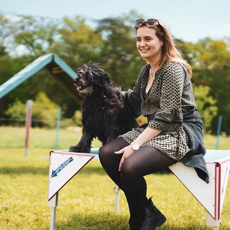 Appartement Hof Koehne - Altes - Pony *