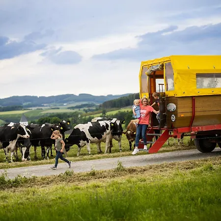 Hof Koehne - Altes - Pony Lägenhet Schmallenberg