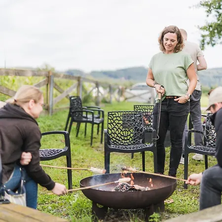 Hof Koehne - Altes - Pony * Schmallenberg