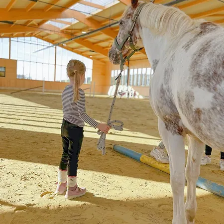 Hof Koehne - Altes - Pony
