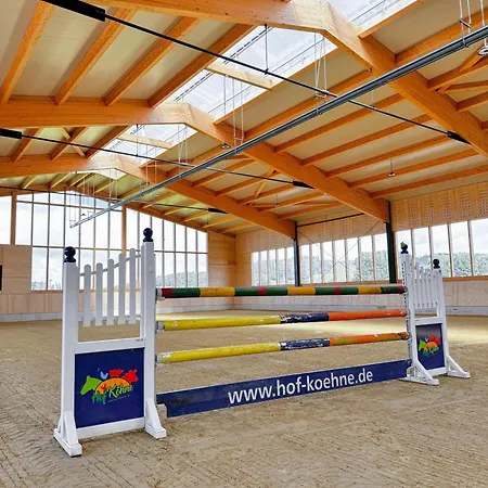 Hof Koehne - Altes - Pony *