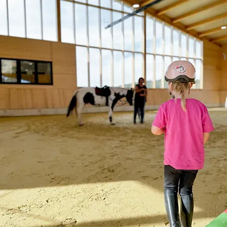 Hof Koehne - Altes - Pony