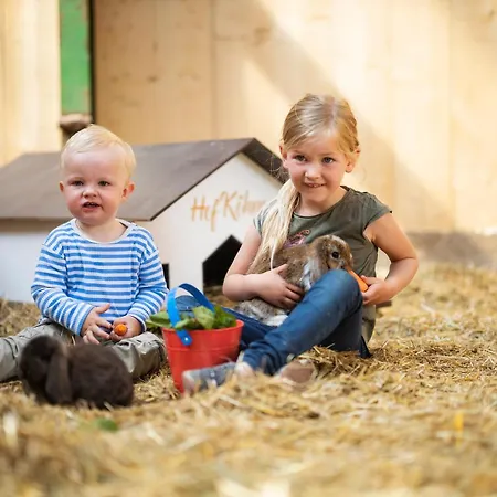 Hof Koehne - Altes - Pony アパート