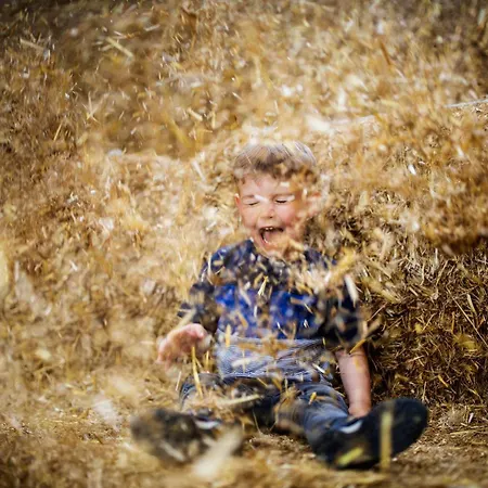 Hof Koehne - Altes - Pony アパート シュマレンベルク