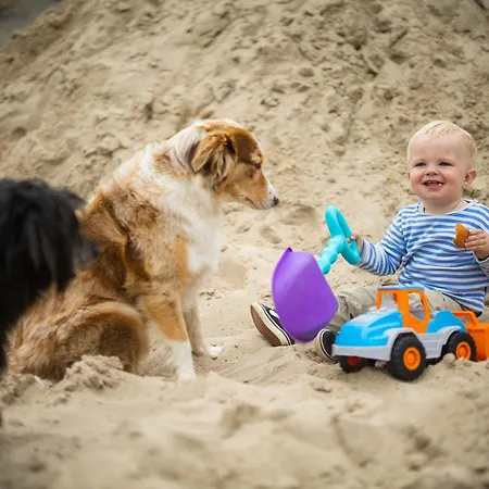 Hof Koehne - Altes - Pony アパート シュマレンベルク