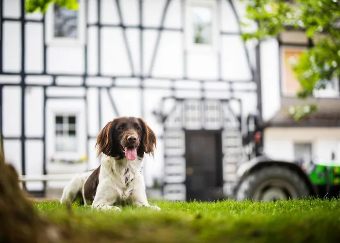 Apartamento Hof Koehne - Altes - Pony