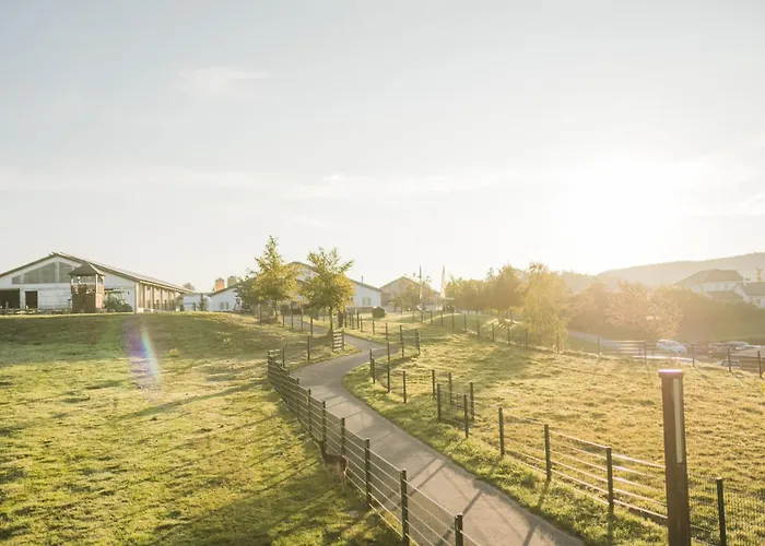 Hof Koehne - Altes - Pony