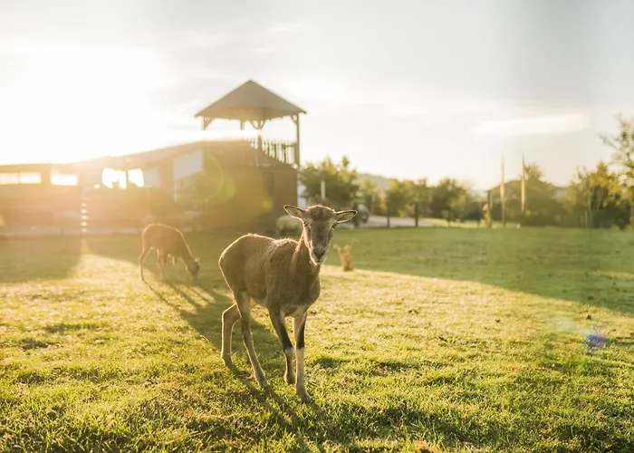 Hof Koehne - Altes - Pony Apartamento *
